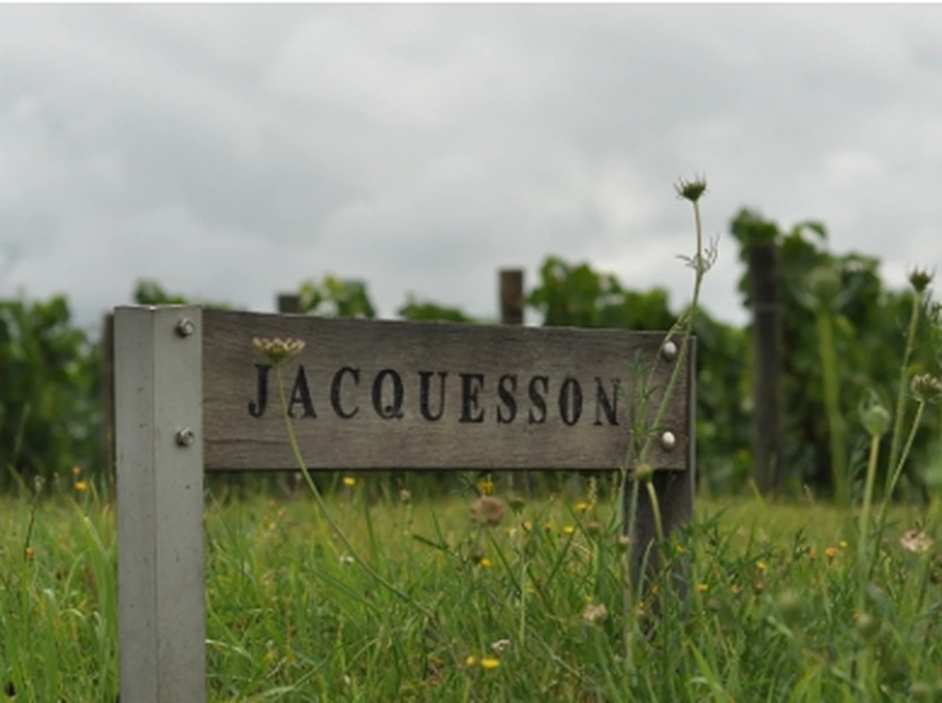 Domaine Jacquesson - Champagne