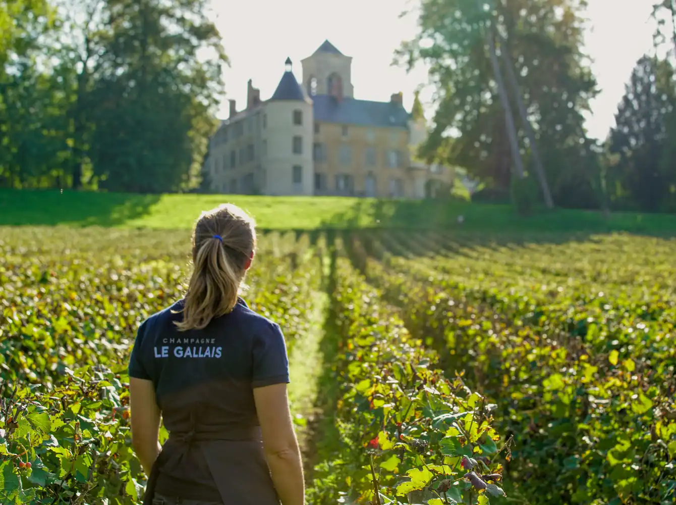 Champagne Le Gallais at Boursault