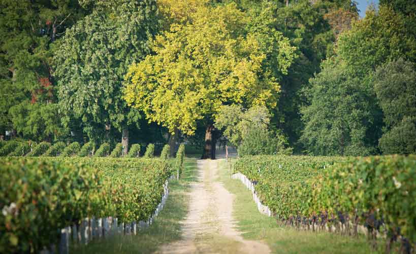 Chateau Siaurac