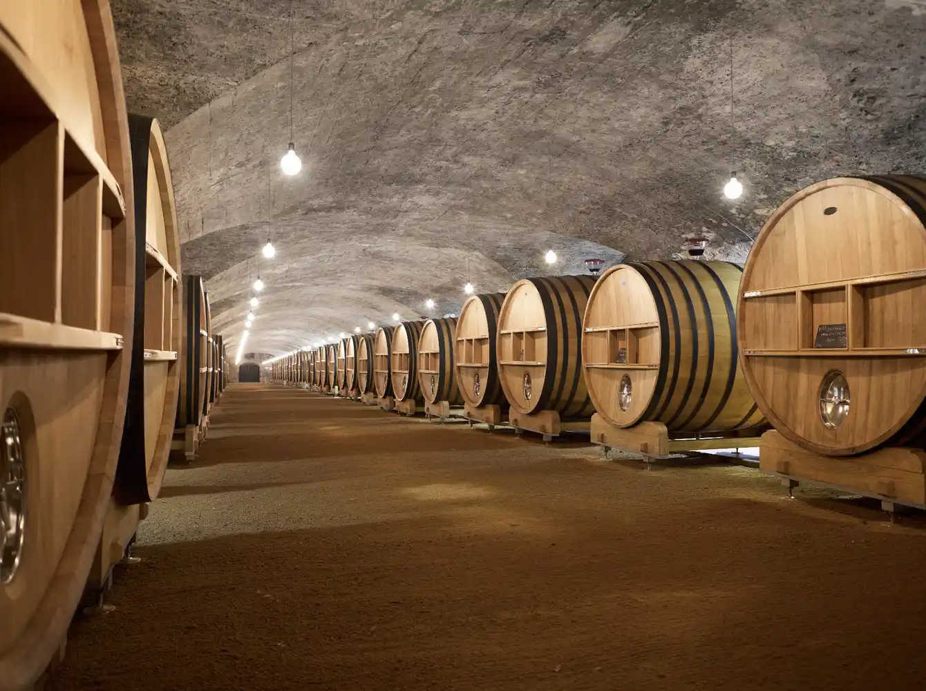 Château De la Chaize in Odenas