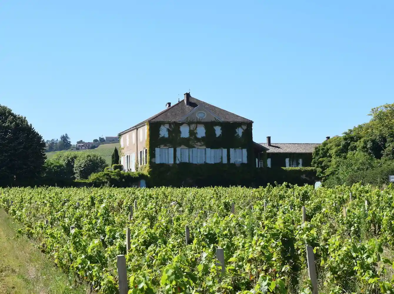 Château des Bachelards in the Beaujolais vineyard