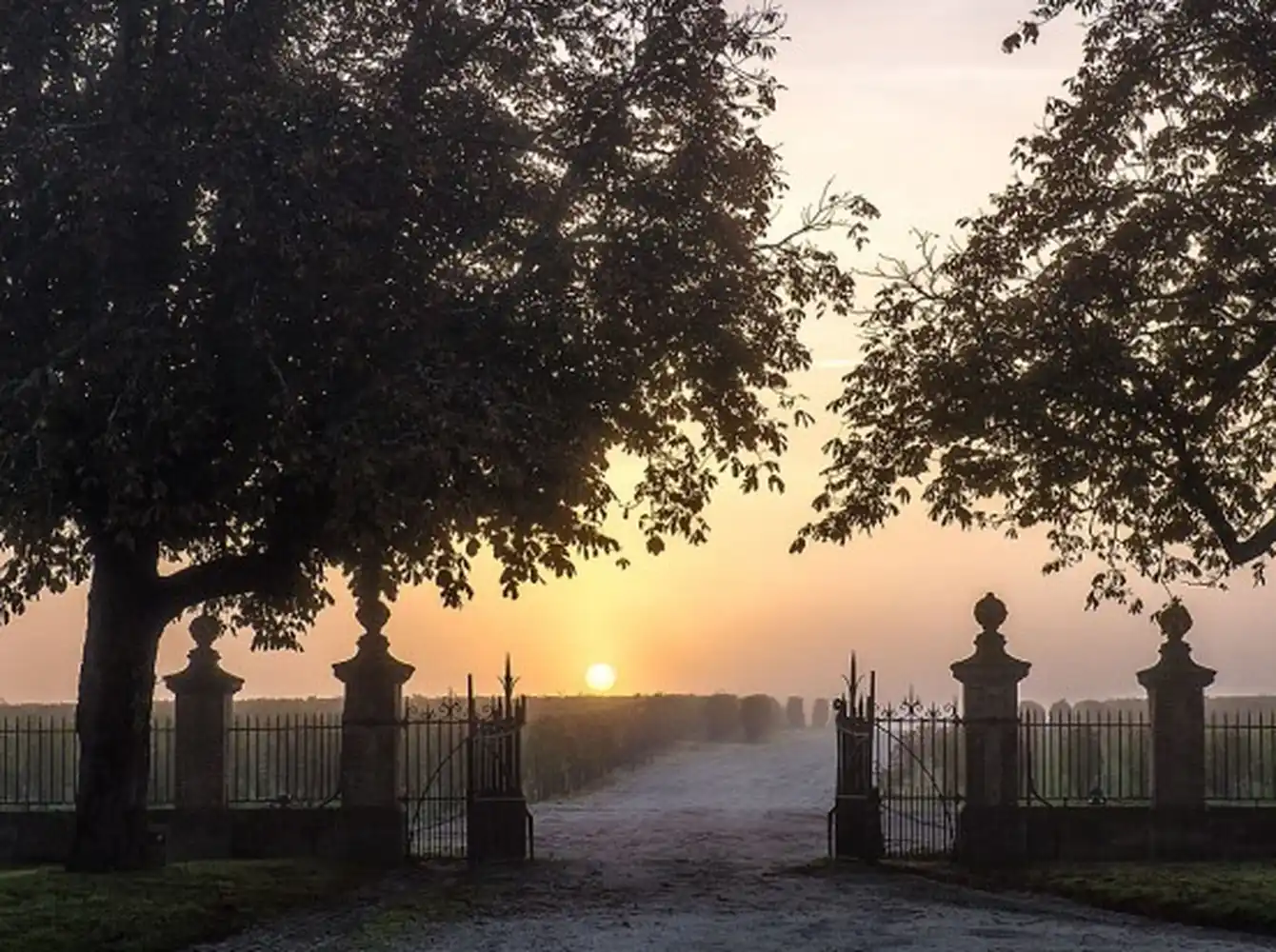 Visit Château Giscours - Margaux