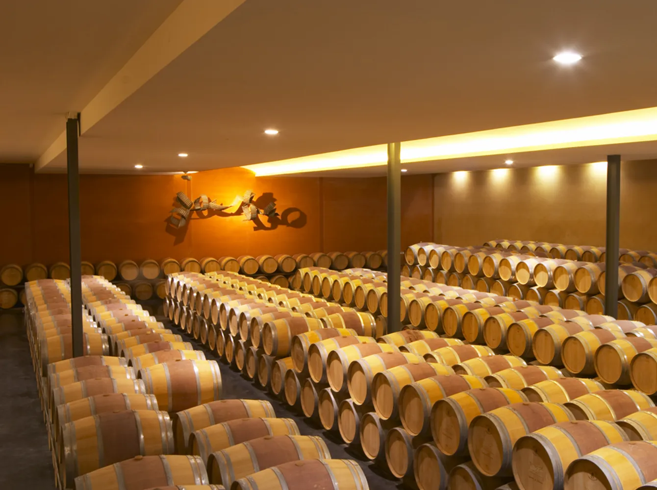 Château Paloumey cellar