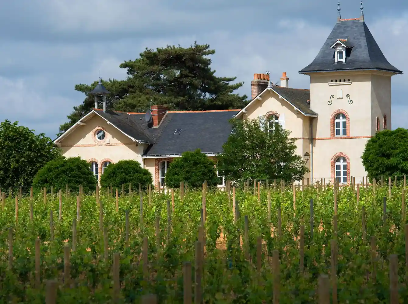 Château Soucherie, Savennières appellation