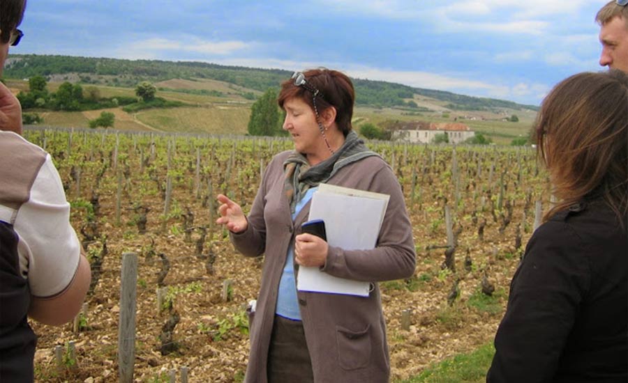 Clos de Bourgogne