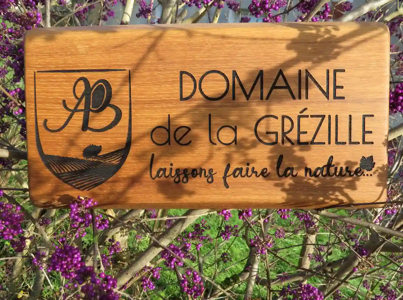 Domaine de La Grezille - Anjou - Loire