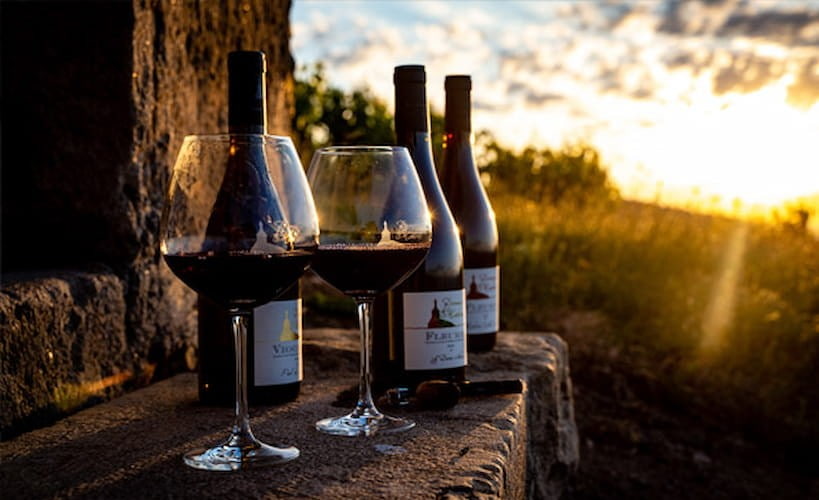 Domaine de la Madone