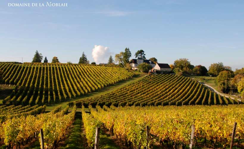 Domaine de la Noblaie