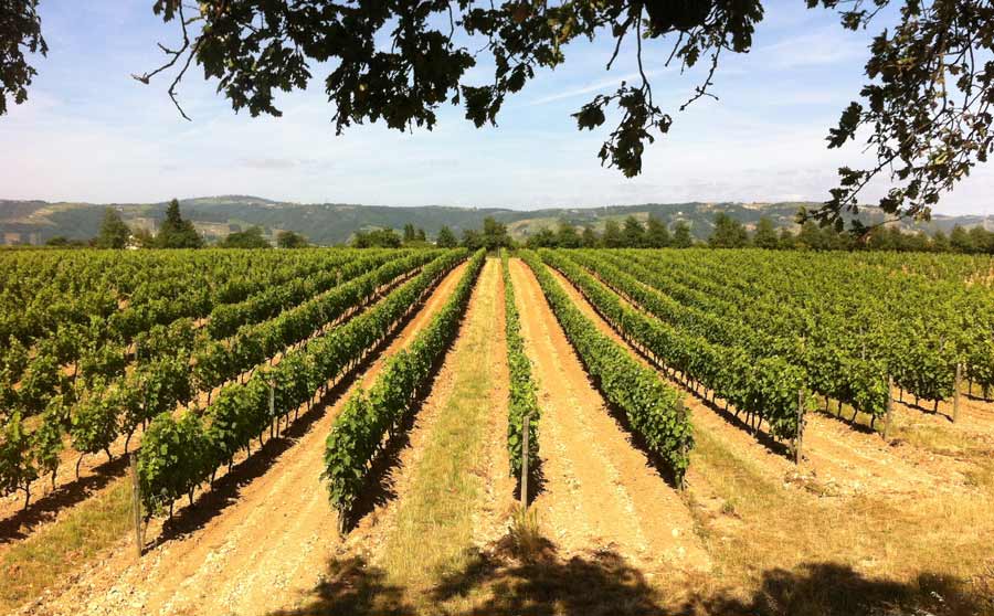 Domaine de la Ville Rouge - Rhone