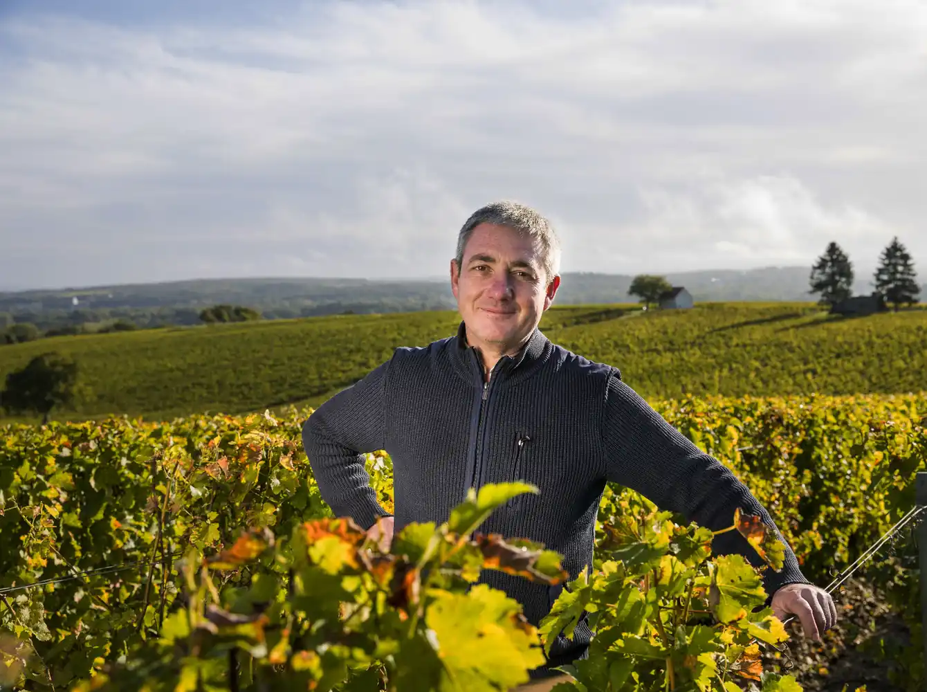 Domaine Eric Louis in Sancerre