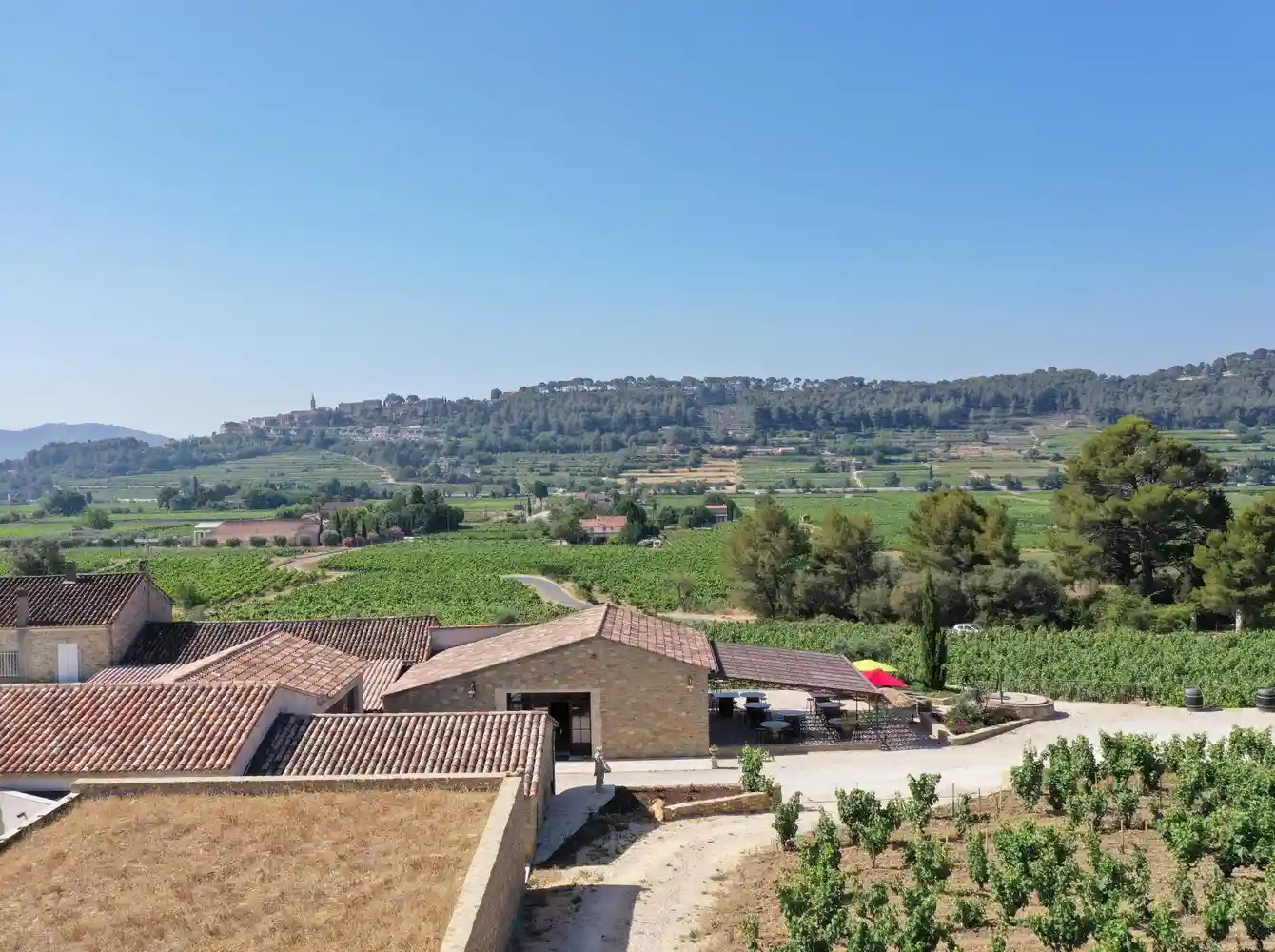 Domaine Lou Capelan, wine estate near Bandol