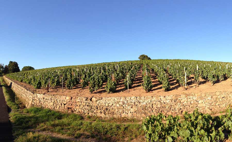 Steeve Charvet Estate