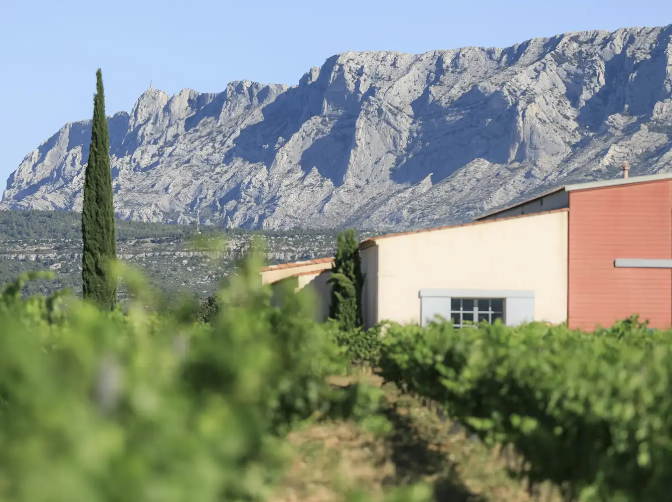 Mas de Cadenet - Wine estate in Provence - France