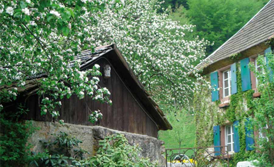 Schaeferhof Guest House