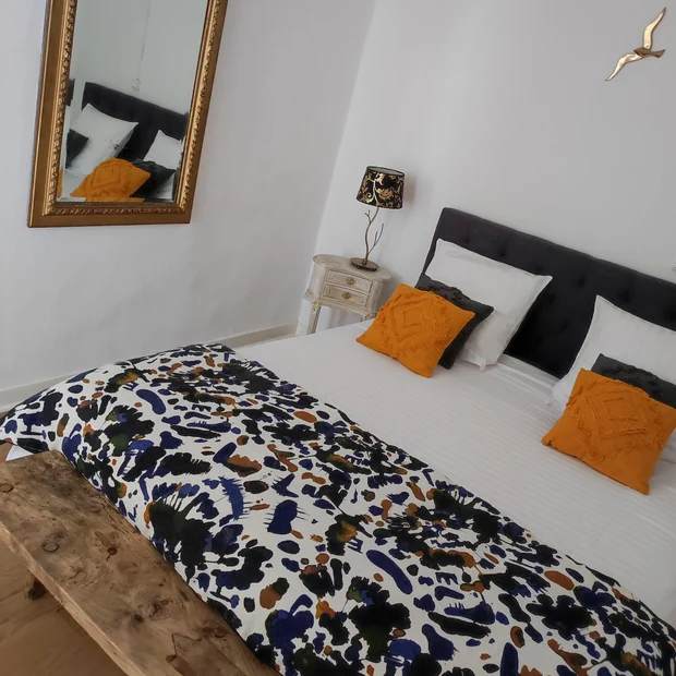 Guest House in Savoy