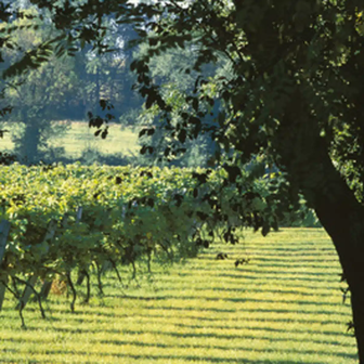 Cadeau sur la route des vins de Gascogne dans le Sud-Ouest