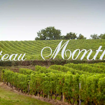 Visite du Château Montus au coeur du Madiran
