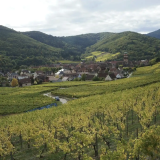 Journée sur la Route des Vins d'Alsace