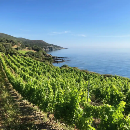 Séjour Corse du Sud