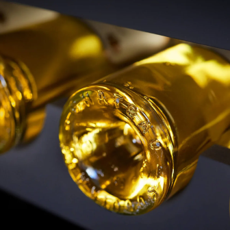 Dégustation des vins de Sauternes