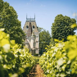 Journée découverte des vins de Bourgogne