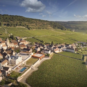 Journée dans le vignoble près de Beaune