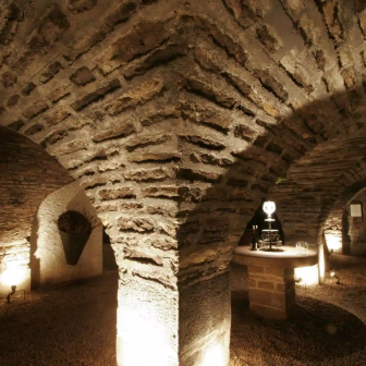 Visite de domaines et caveaux à la journée en Bourgogne