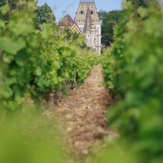 Journée découverte autour de Beaune