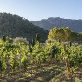Une journée sur la route des vins de Provence