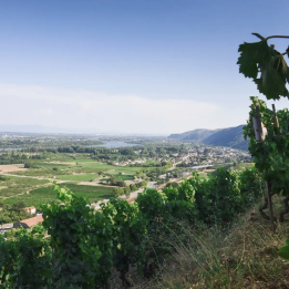 Journée en Vallée du Rhône septentrionale