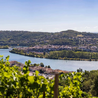 Journée œnologique en Vallée du Rhône septentrionale
