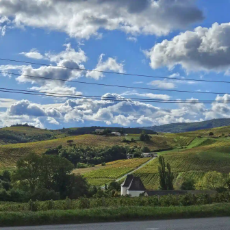 Panorama vignoble à Chiroubles