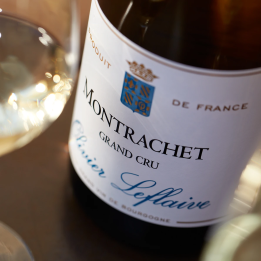 Dégustation de vins réputés en Bourgogne