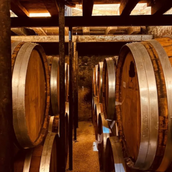 Visite de domaines et distilleries dans le vigoble charentais
