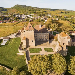 À la découverte des grands vins de Mâcon et Pouilly-Fuissé