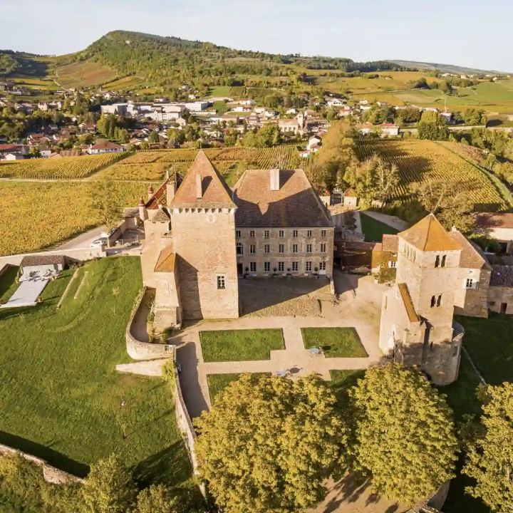 À la découverte des grands vins de Mâcon et Pouilly-Fuissé