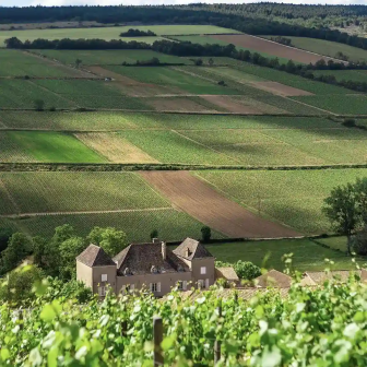 Week-end oenologique en Bourgogne du Sud