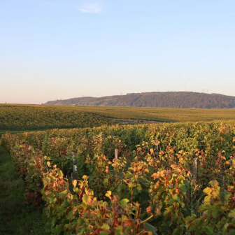 Route mythique des grands vins de Bourgogne