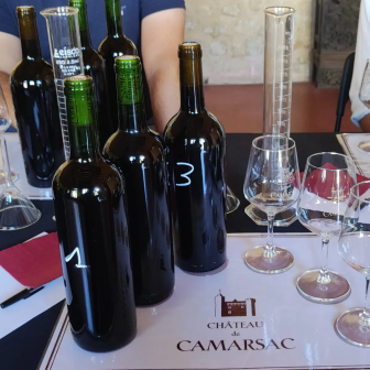 Atelier autour du vin Bordeaux