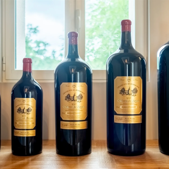 Dégustation vins bordelais