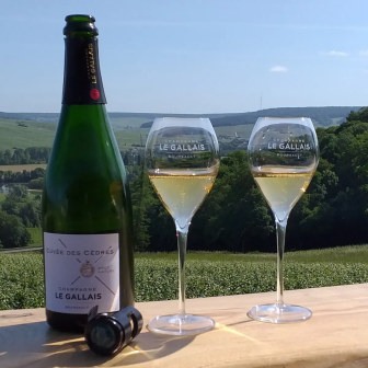 Week-end vin et golf en Champagne