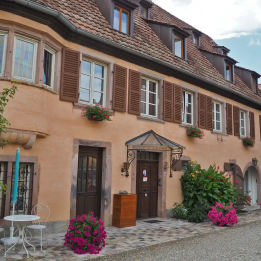 Atelier vignerons Alsace