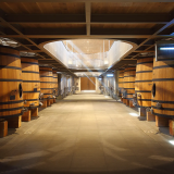 Visite domaine viticole Saint-Emilion