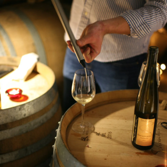 Rencontre vigneronne en alsace