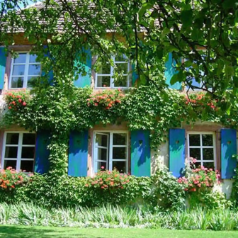Séjour viticole en amoureux en Alsace