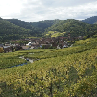 Escapade vin bio en Alsace