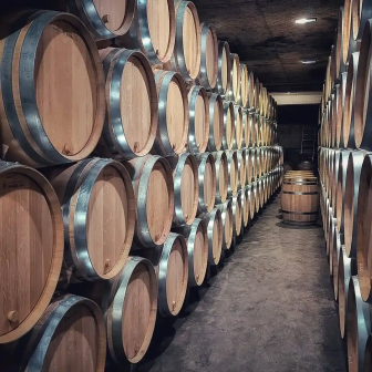 Week-end découverte de l'œnologie en Bourgogne