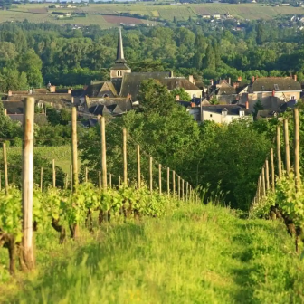 Circuit à la découverte de l'Anjou viticole
