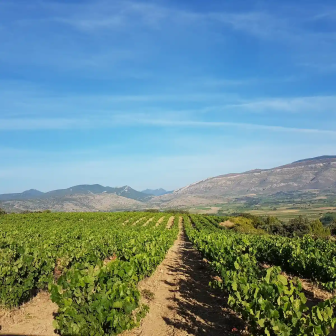 Week-end dans le vignoble de Corbières