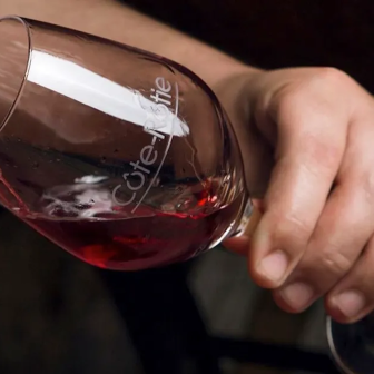 Dégustation de vins des appellations Côte-Rôtie et Condrieu en Vallée du Rhône
